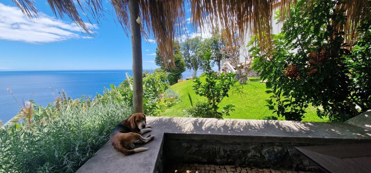 Torre Bella Gardens Villa Arco da Calheta  Exterior photo