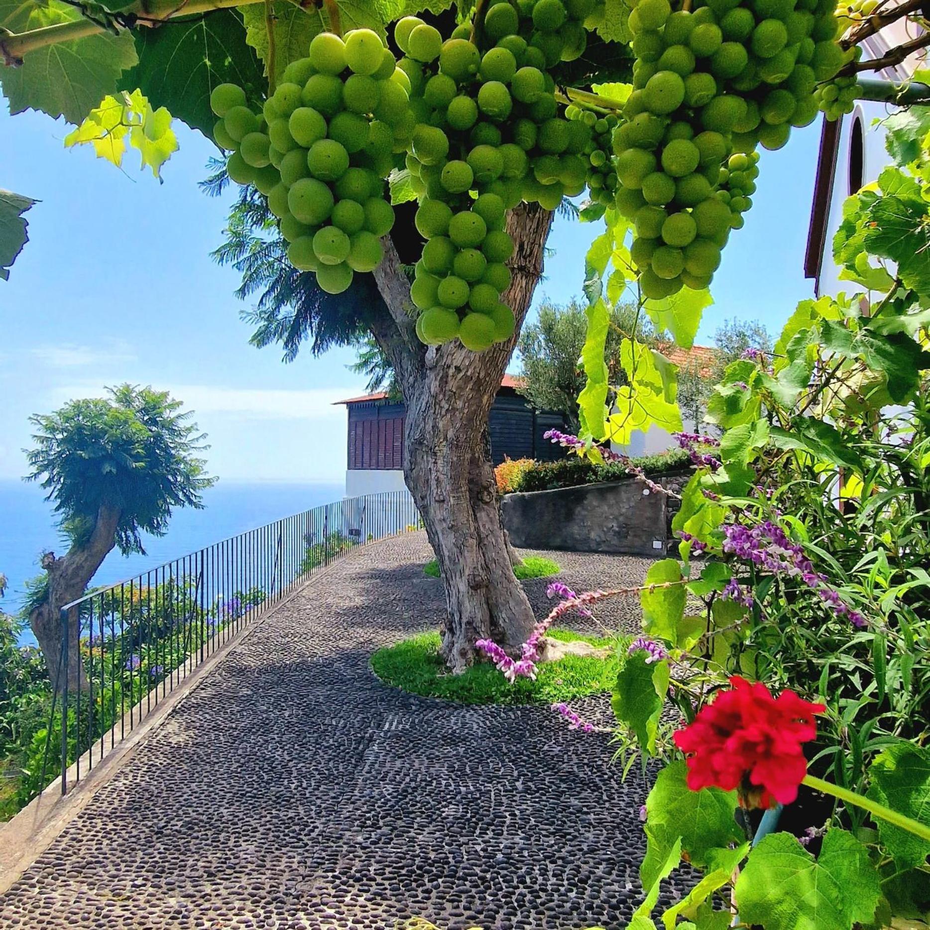 Torre Bella Gardens Villa Arco da Calheta  Exterior photo